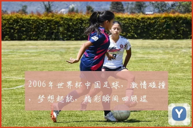 2006年世界杯中国足球，激情碰撞，梦想起航，精彩瞬间回顾逗
