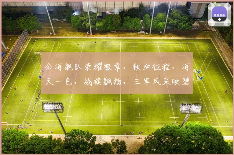 公海舰队荣耀徽章，铁血征程，海天一色，战旗飘扬，三军风采映碧波，扬帆远航。