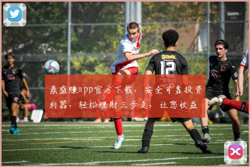 鼎盛赚app官方下载，安全可靠投资利器，轻松理财三步走，让您收益翻倍，赶快体验