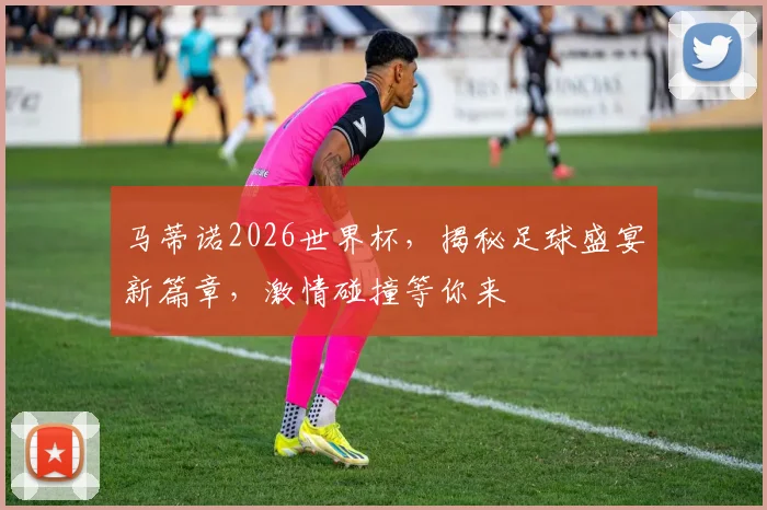 马蒂诺2026世界杯，揭秘足球盛宴新篇章，激情碰撞等你来