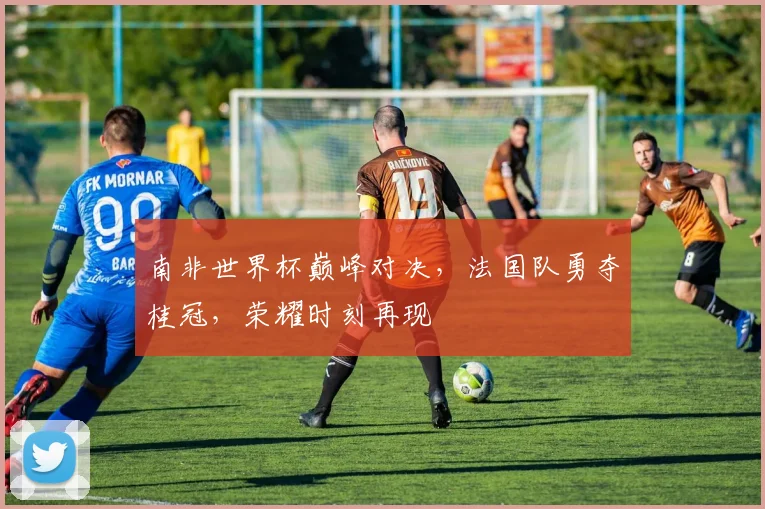 南非世界杯巅峰对决，法国队勇夺桂冠，荣耀时刻再现